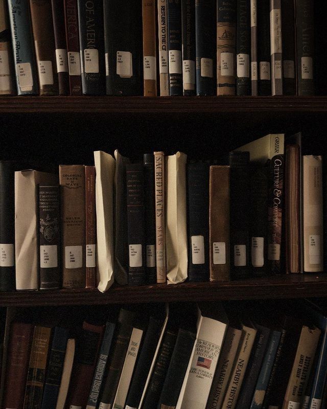 Quiet library shelves